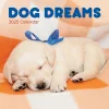 2025 Calendars|TF Publishing 2025 12" x 12" Dog Dreams Wall Calendar (25-1010)