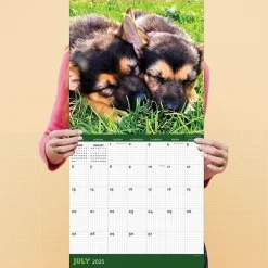 2025 Calendars|TF Publishing 2025 12