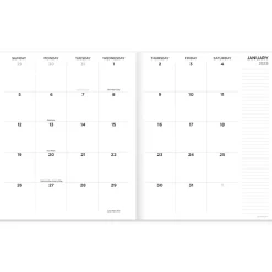 2025 Planners|TF Publishing 2025 9" x 11" Monthly Planner, Paperboard Cover, Color Swoops (25-4702)