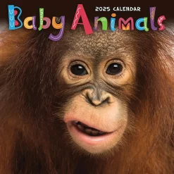 2025 Calendars|TF Publishing 2025 Baby Animals 7" x 7" Monthly Wall Calendar (25-2000)