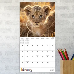2025 Calendars|TF Publishing 2025 Baby Animals 7