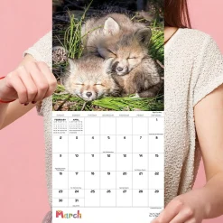 2025 Calendars|TF Publishing 2025 Baby Animals 7