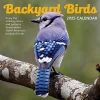 2025 Calendars|TF Publishing 2025 Backyard Birds 12" x 12" Monthly Wall Calendar (25-1033)