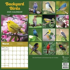 2025 Calendars|TF Publishing 2025 Backyard Birds 12" x 12" Monthly Wall Calendar (25-1033)