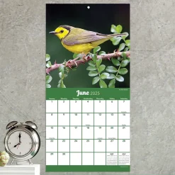 2025 Calendars|TF Publishing 2025 Backyard Birds 7