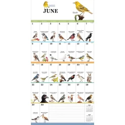 2025 Calendars|TF Publishing 2025 Birds: Backyard and Beyond 12