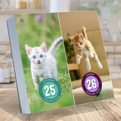 2025 Calendars|TF Publishing 2025 Cat A Day 5.25