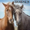 2025 Calendars|TF Publishing 2025 Horses 7" x 7" Monthly Wall Calendar (25-2001)