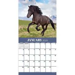 2025 Calendars|TF Publishing 2025 Horses 7