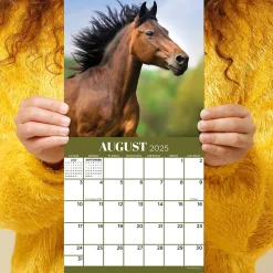 2025 Calendars|TF Publishing 2025 Horses 7