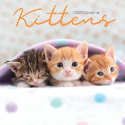 2025 Calendars|TF Publishing 2025 Kittens 7" x 7" Monthly Wall Calendar (25-2002)