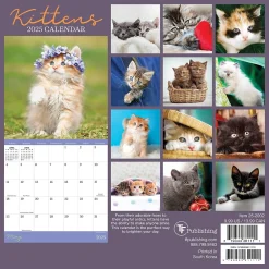 2025 Calendars|TF Publishing 2025 Kittens 7" x 7" Monthly Wall Calendar (25-2002)