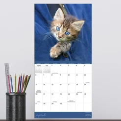 2025 Calendars|TF Publishing 2025 Kittens 7