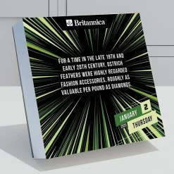 2025 Calendars|TF Publishing 2025 One Good Fact 5.25