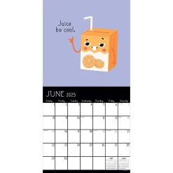 2025 Calendars|TF Publishing 2025 Puns of Fun 12
