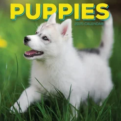 2025 Calendars|TF Publishing 2025 Puppies 12" x 12" Monthly Wall Calendar (25-1025)