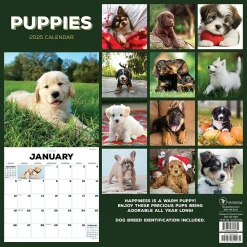 2025 Calendars|TF Publishing 2025 Puppies 12" x 12" Monthly Wall Calendar (25-1025)
