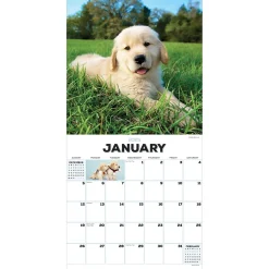 2025 Calendars|TF Publishing 2025 Puppies 12