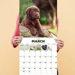 2025 Calendars|TF Publishing 2025 Puppies 12