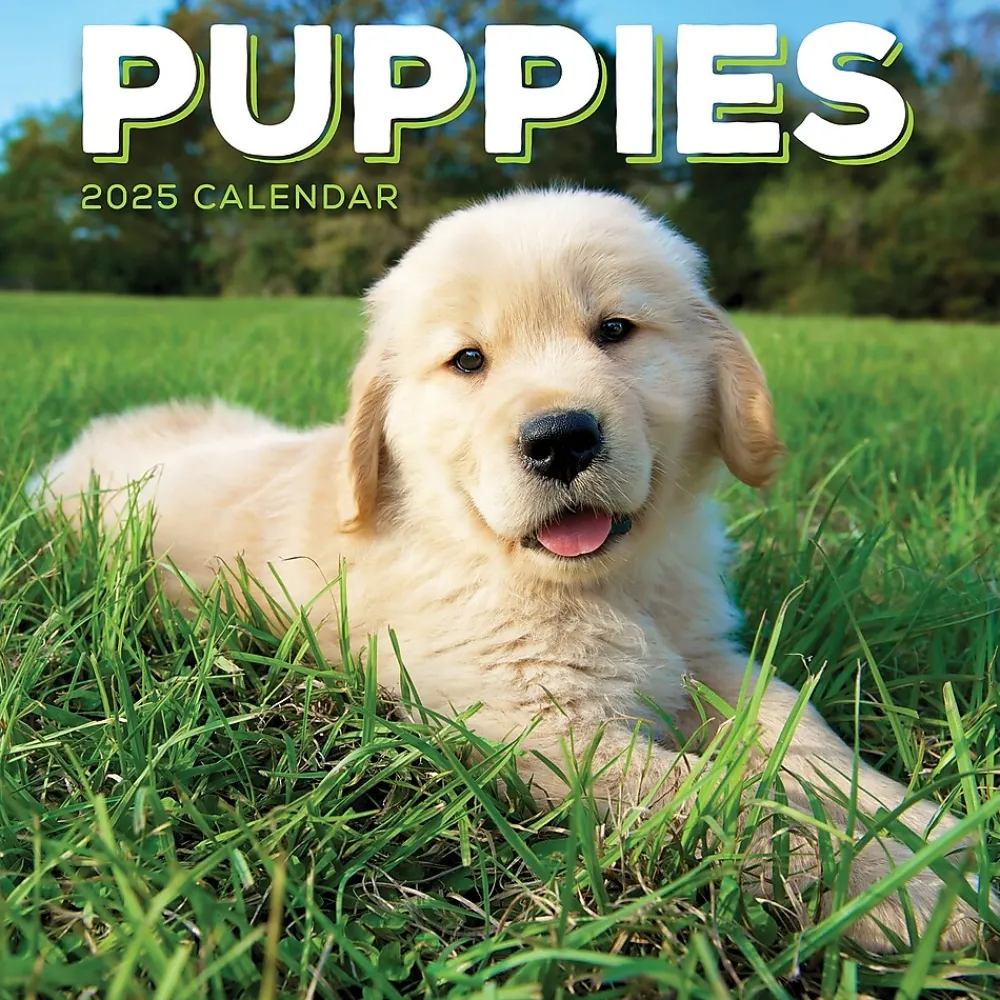 2025 Calendars|TF Publishing 2025 Puppies 7" x 7" Monthly Wall Calendar (25-2007)