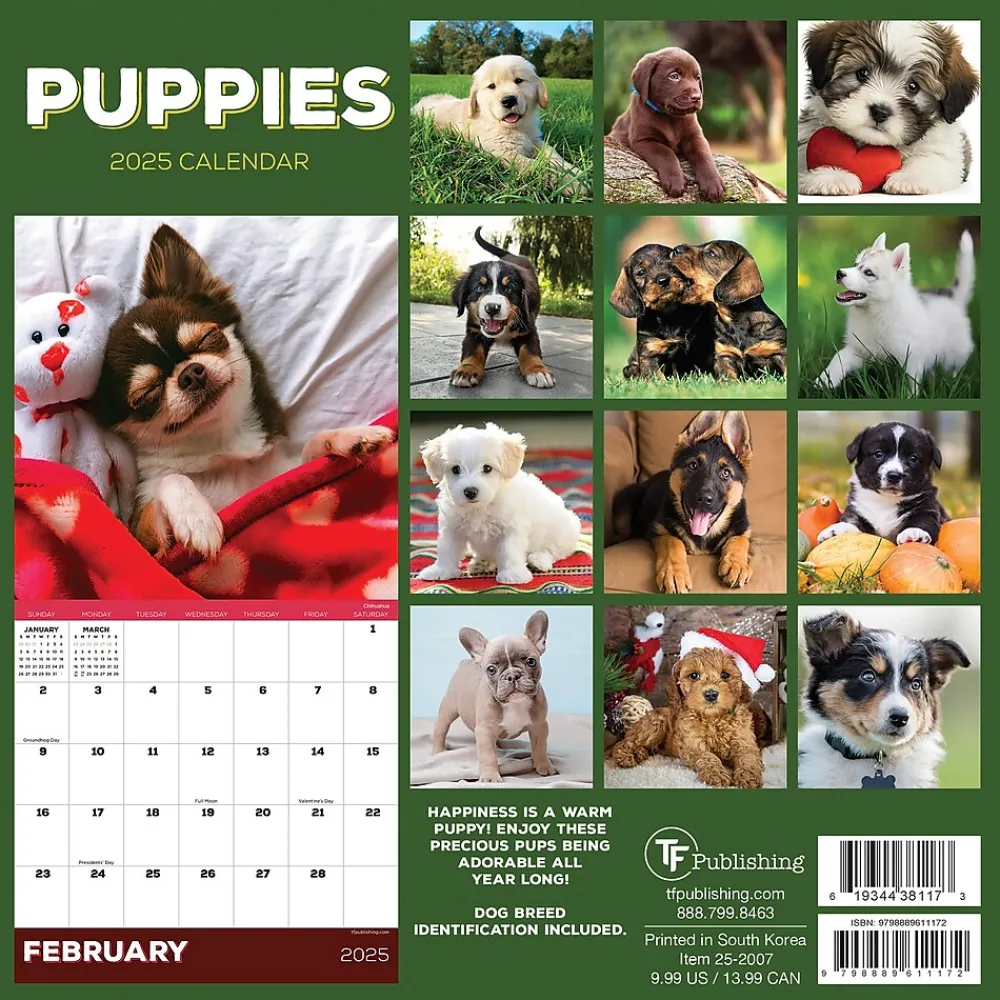 2025 Calendars|TF Publishing 2025 Puppies 7" x 7" Monthly Wall Calendar (25-2007)