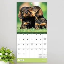 2025 Calendars|TF Publishing 2025 Puppies 7