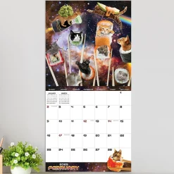 2025 Calendars|TF Publishing 2025 Space Cats 12