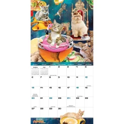 2025 Calendars|TF Publishing 2025 Space Cats 7
