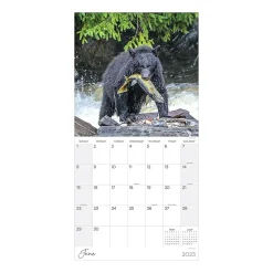 2025 Calendars|TF Publishing 2025 Wild 12