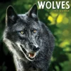 2025 Calendars|TF Publishing 2025 Wolves 7" x 7" Monthly Wall Calendar (25-2015)