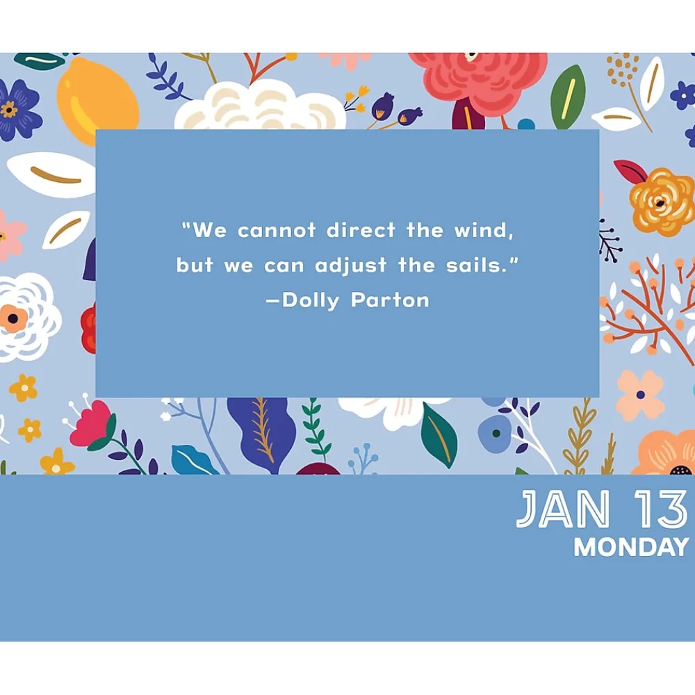 2025 Calendars|Willow Creek 2025 365 Days of Positivity 6" x 5.5" Day-to-Day Calendar (40553)