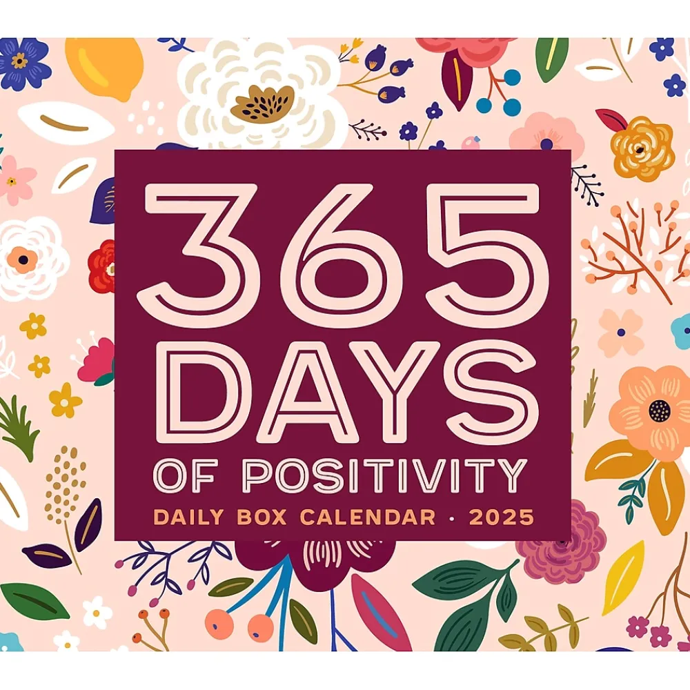 2025 Calendars|Willow Creek 2025 365 Days of Positivity 6" x 5.5" Day-to-Day Calendar (40553)