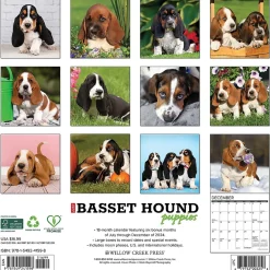2025 Calendars|Willow Creek 2025 Basset Hound Puppies 12" x 12" Yearly Wall Calendar (41598)