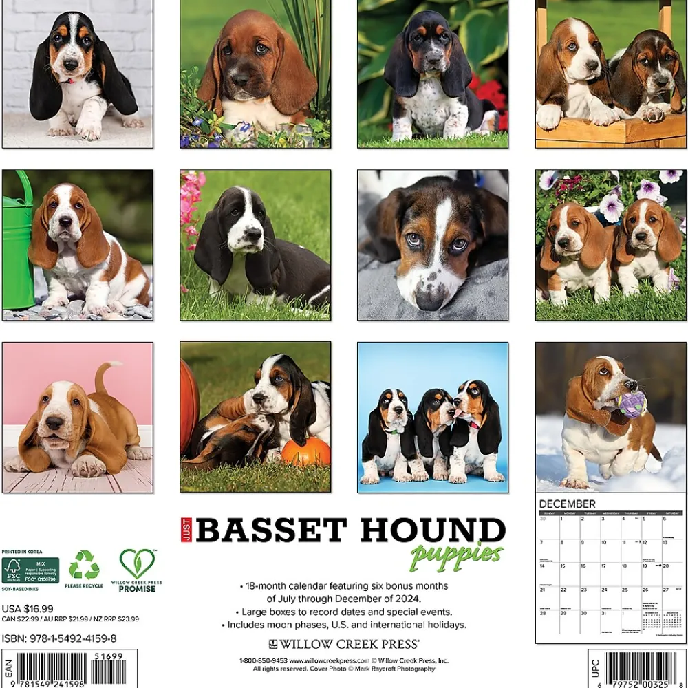 2025 Calendars|Willow Creek 2025 Basset Hound Puppies 12" x 12" Yearly Wall Calendar (41598)