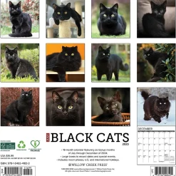 2025 Calendars|Willow Creek 2025 Black Cats 12" x 12" Monthly Wall Calendar (41833)