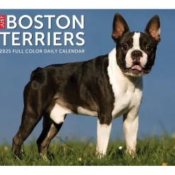 2025 Calendars|Willow Creek 2025 Boston Terriers 6