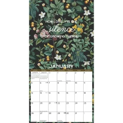 2025 Calendars|Willow Creek 2025 Botanical Nature 12