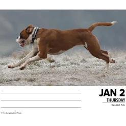 2025 Calendars|Willow Creek 2025 Boxers 6