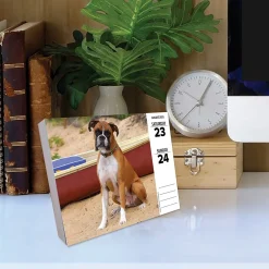 2025 Calendars|Willow Creek 2025 Boxers 6