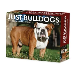 2025 Calendars|Willow Creek 2025 Bulldogs 6" x 5.5" Day-to-Day Calendar, Multicolor (40706)