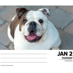 2025 Calendars|Willow Creek 2025 Bulldogs 6