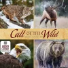 2025 Calendars|Willow Creek 2025 Call of the Wild 12" x 12" Monthly Wall Calendar (42113)