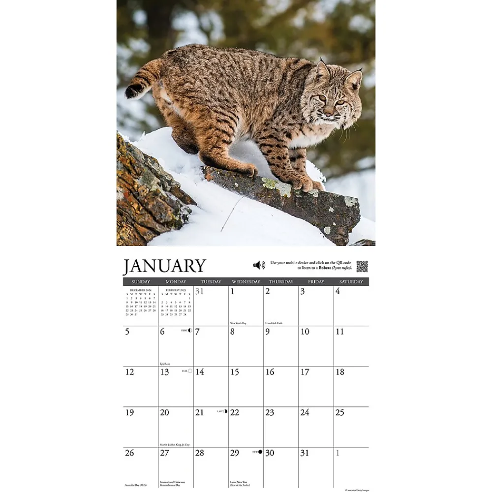 2025 Calendars|Willow Creek 2025 Call of the Wild 12" x 12" Monthly Wall Calendar (42113)
