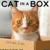 2025 Calendars|Willow Creek 2025 Cat in a Box 12" x 12" Monthly Wall Calendar (42182)