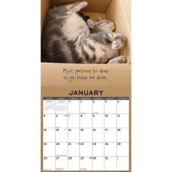 2025 Calendars|Willow Creek 2025 Cat in a Box 12