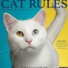 2025 Calendars|Willow Creek 2025 Cat Rules 12" x 12" Monthly Wall Calendar (42199)