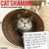 2025 Calendars|Willow Creek 2025 Cat Shaming 12" x 12" Monthly Wall Calendar (42205)