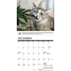 2025 Calendars|Willow Creek 2025 Cat Shaming 12