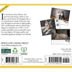 2025 Calendars|Willow Creek 2025 Cats 6" x 5.5" Day-to-Day Calendar, Multicolor (40720)