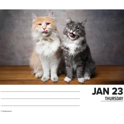 2025 Calendars|Willow Creek 2025 Cats 6